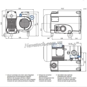 Cấu tạo bơm chân không Becker U 4.20