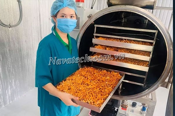 Nguyên lý hoạt động của sấy thăng hoa