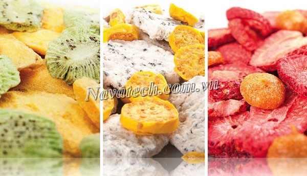 Sấy thăng hoa là gì? Nguyên lý hoạt động quy trình sấy thăng hoa