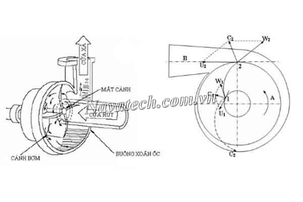 Cấu tạo bơm ly tâm