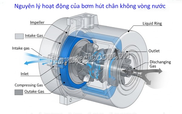 Nguyên lý hoạt động của bơm hút chân không vòng nước