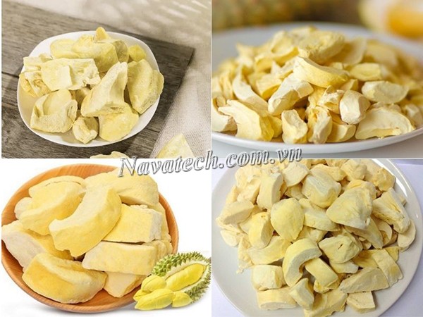 Cung cấp bơm chân không cho Công ty thiết bị Bạch Mã Cung cấp bơm chân không cho Công ty thiết bị Bạch Mã