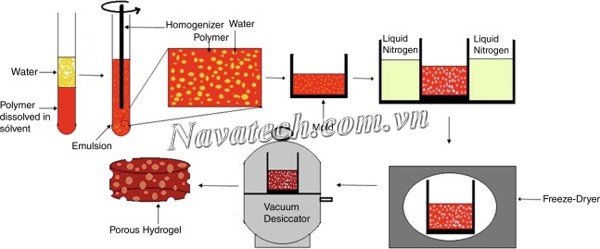 Quy trình sấy thăng hoa nông sản