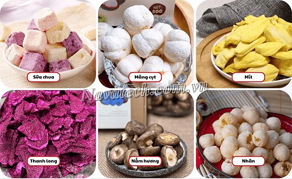 Sấy chân không là gì? Ứng dụng công nghệ sấy chân không