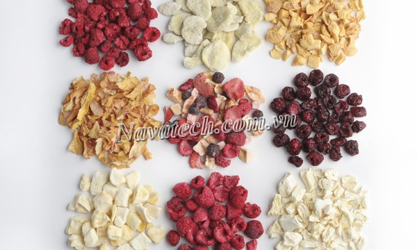 Ưu điểm vượt trội phương pháp sấy thăng hoa nông sản