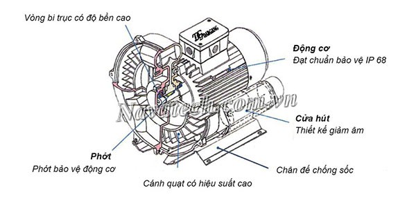 Cấu tạo chính của quạt hút chân không