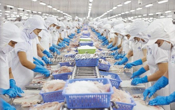 Tại sao cần phải hút chân không trong sản xuất? Tại sao cần phải hút chân không trong sản xuất?