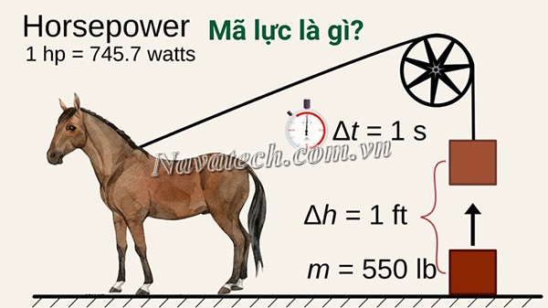 Đơn vị mã lực là gì?