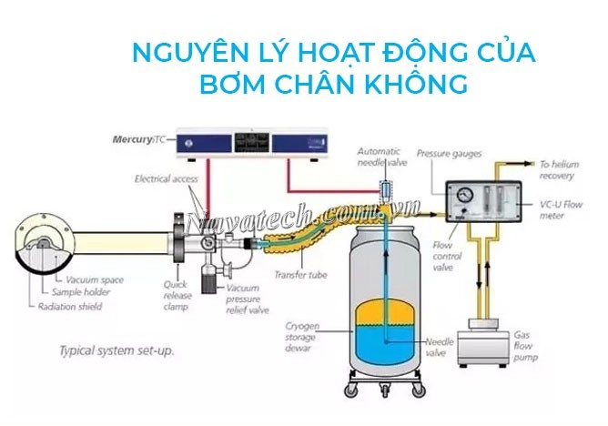 Quạt Hút Chân Không Là Gì? Top 3 Loại Quạt Tốt Nhất Quạt Hút Chân Không Là Gì? Top 3 Loại Quạt Tốt Nhất