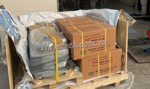 Nhập kho lô hàng bơm chân không Woosung tháng 10 năm 2025 Nhập kho lô hàng bơm chân không Woosung tháng 10 năm 2025