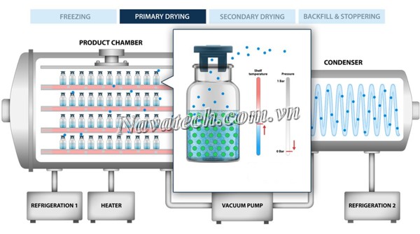 Sấy thăng hoa trong ngành dược