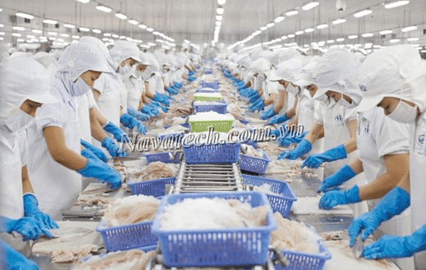 Ứng dụng máy hút chân không công nghiệp