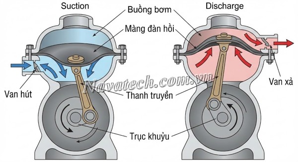 Nguyên lý màng (Diaphragm vacuum pump)