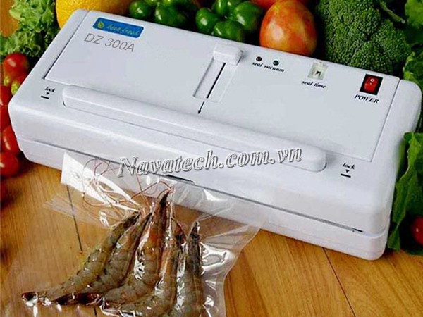 Máy hút chân không mini DZ-300A